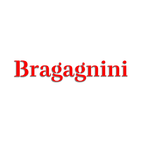 Bragagnini